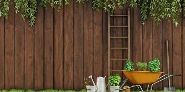Garden fencing ideas. Top tips to put up, maintain and decorate a fence.